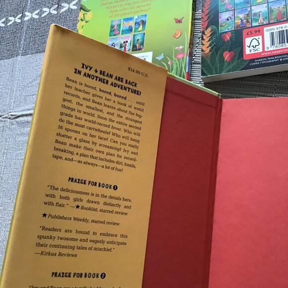 Lot of 4 Books--Rescue Princesses (2) and Ivy and Bean (2)--Homeschool Reading - Picture 3 of 3